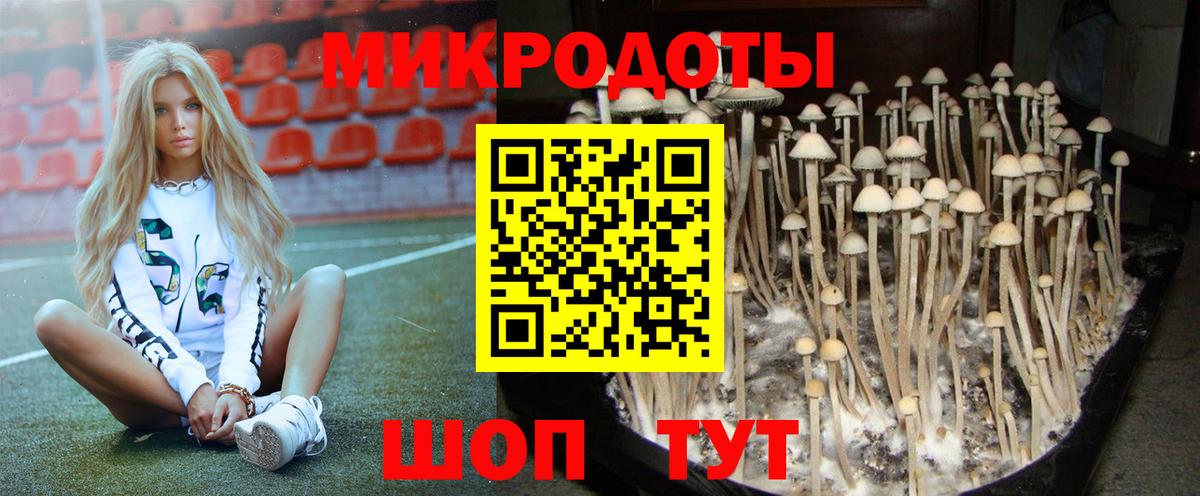 Галлюциногенные грибы ЛСД  продажа наркотиков  Качканар  Псилоцибиновые грибы Psilocybe  Вход с VPN 